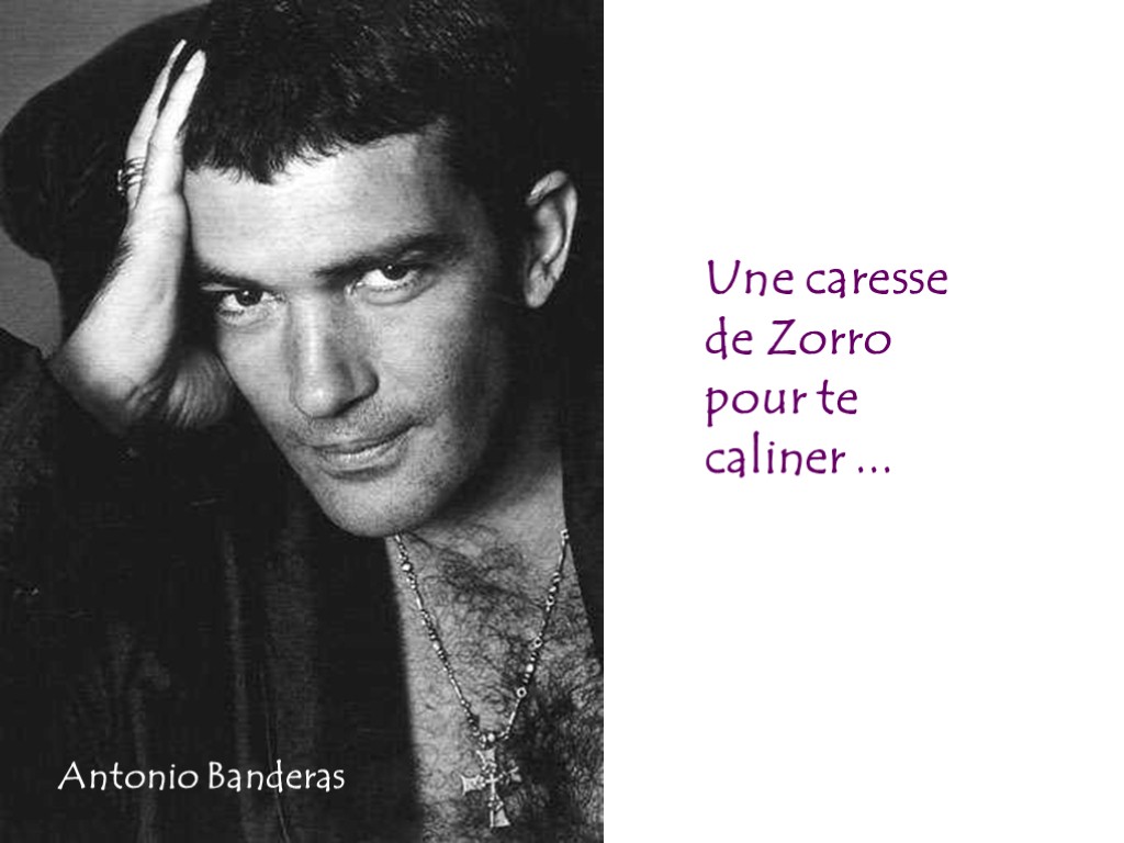 Une caresse de Zorro pour te caliner ... Antonio Banderas